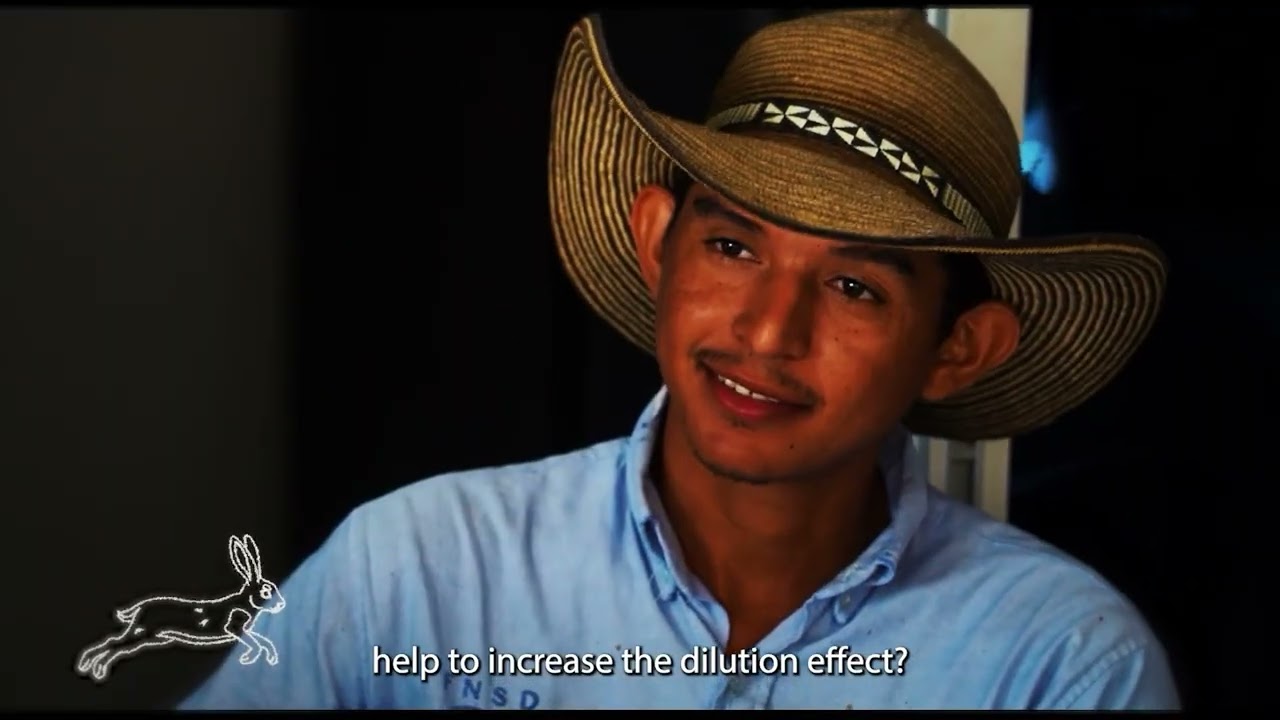 BEPREP CSA07 Colombia, Córdoba – Dilution Effect: How Biodiversity Cuts Disease