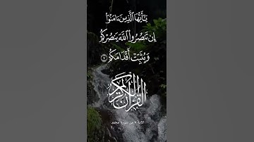 Surah Muhammad ayat 7 سورة محمد الآية رقم 7 #arabic #foryou #foru #duet #surah #القرآن #love #muslim
