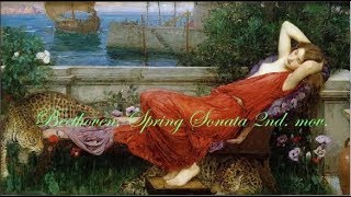 Beethoven, "Spring Sonata", 2nd Mov. Josef Suk, Violin