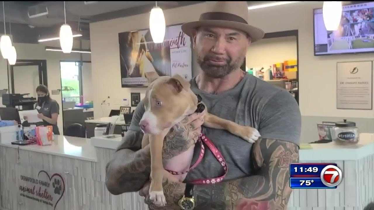 Actor Dave Bautista adopts neglected puppy from Florida animal shelter
