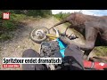 Riesiger Elch greift Biker an – Deutscher erlebt Schock-Momente in Ontarios Wäldern!