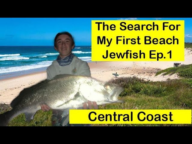 Flicking Lures For Jewfish Off North Entrance Beach