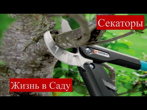 Обзор И Типы Секаторов Для Обрезки Деревьев, Жизнь В Саду! 4