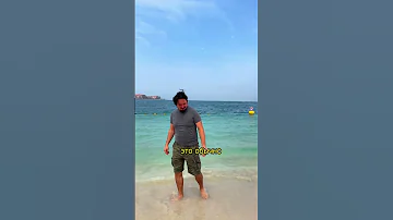 Медузы в Дубае 😱 Опасно ли плавать в море в Дубае ? #дубай #жизньвдубае