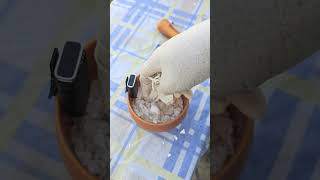 Egg shell Fertilizer for plants | ASMR | Crushimg Egg shell.