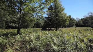 Cockburn Island, Ontario