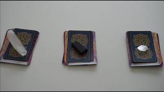 What is the FUTURE of this connection 🤔✨❤️🩹🌈🕊️💌🔮🦄🦋Pick a Card Reading🦋🦄🔮💌🕊️🌈❤️🩹