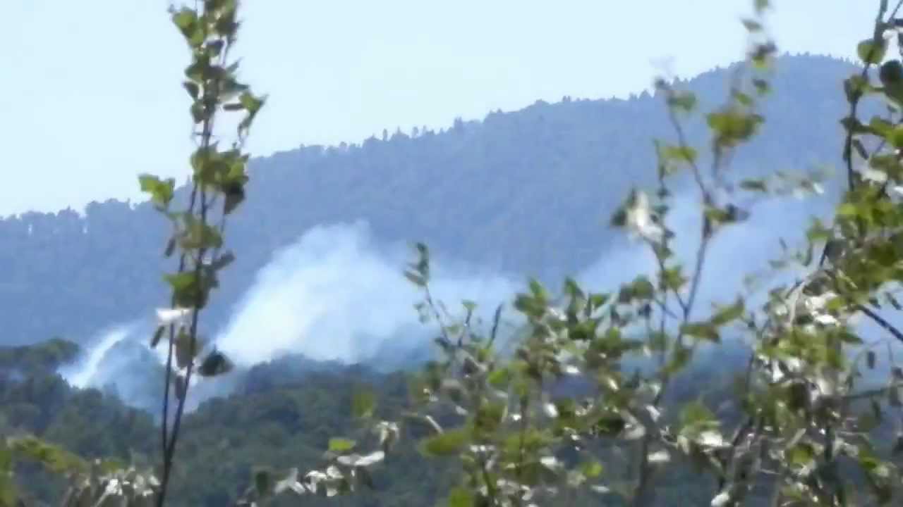 Wildfire in Brașov, Romania [25 July 2012] video to gif