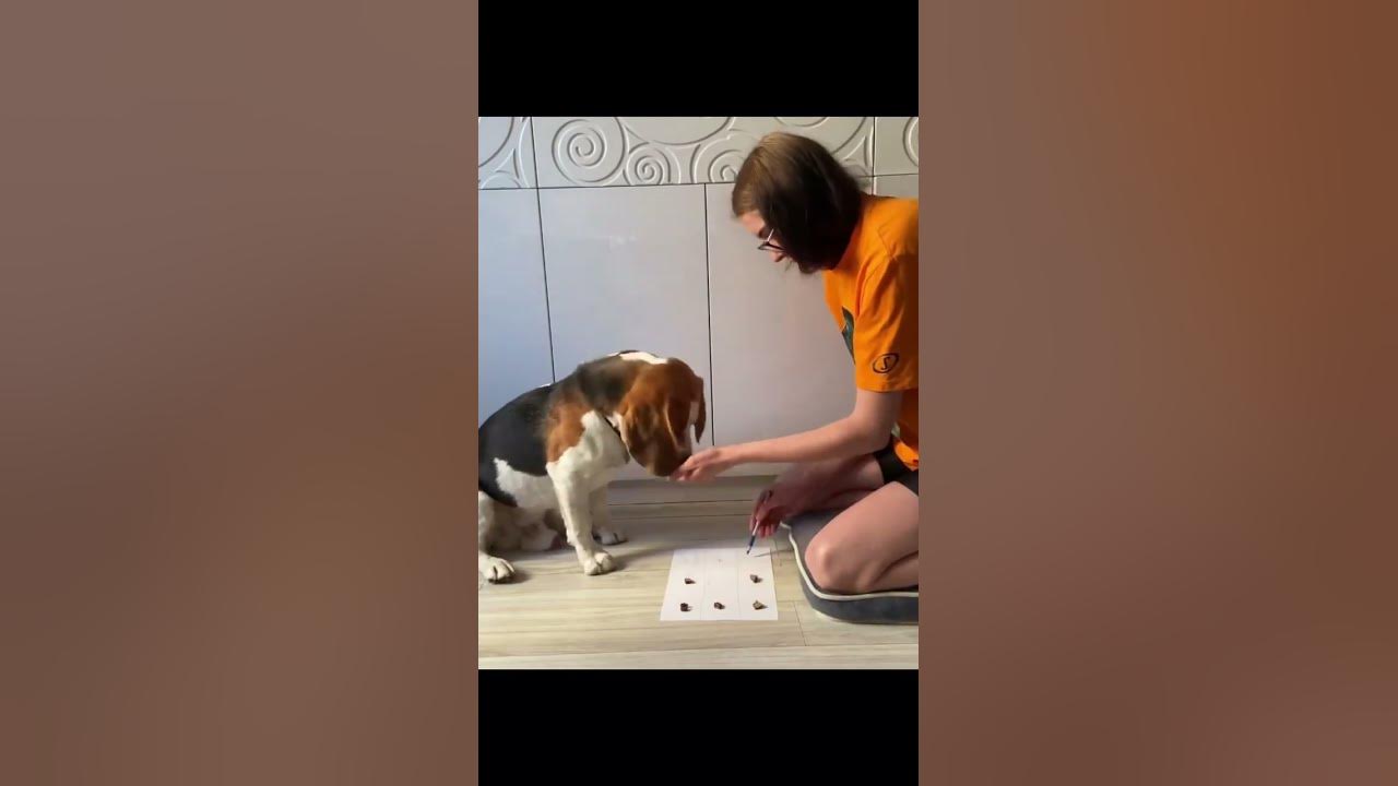 Игра на самоконтроль. Взять всего лишь одну, когда велик соблазн ...