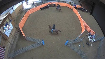 Big Sky Ranch Sorting Saddle Series #2 - #6 H/C - Round #1 - Ride #29
