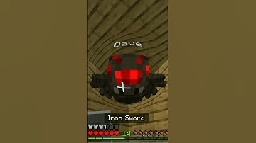 Thumbnail of Spider Dave...!