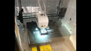 IMG 4594