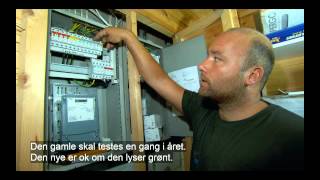 Trønderske Fagfolk Hjelper Sinnasnekkern