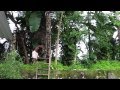 Coconut Tree Climber in Kerala