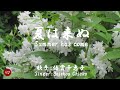夏は来ぬ Natsu wakinu( 倍賞千恵子 Baishou Chieko )ローマ字と日本語の歌詞、および英語の歌詞の意訳付き