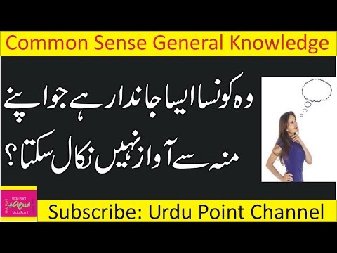 common-sense-questions-|-general-knowledge-quiz-|-funny-questions-to-ask-people-|-gk-in-hindi
