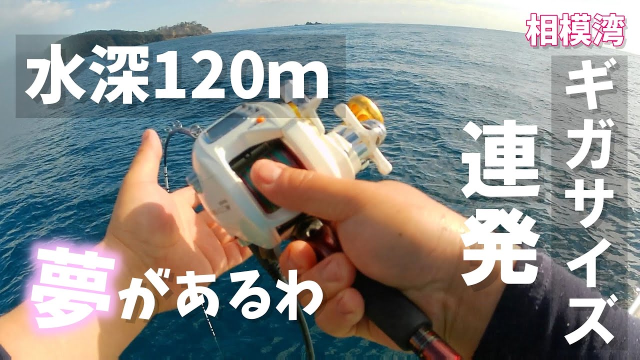 ＃53【船釣り】相模湾 コマセ五目～幸運の鳥が乗車してからが凄すぎた～