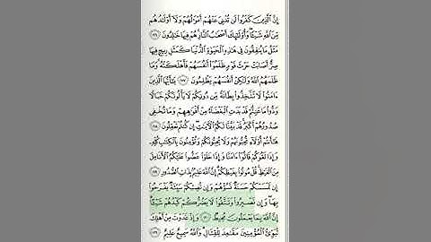 سورة آل عمران - من الآية 113 حتى الآية 132
