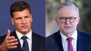 Angus Taylor calls on Albanese to 'scrap the budget'