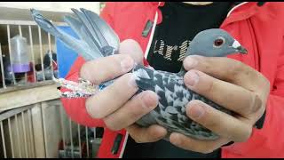 Download Lagu TR 21 008541 MP3