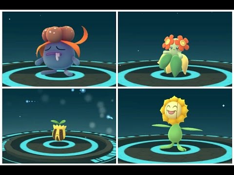 Video: Pok Mon Go Sun Stone - Wie Man Gloom Zu Bellossom, Sunkern Zu Sunflora Und Petilil Zu Lilligant Entwickelt