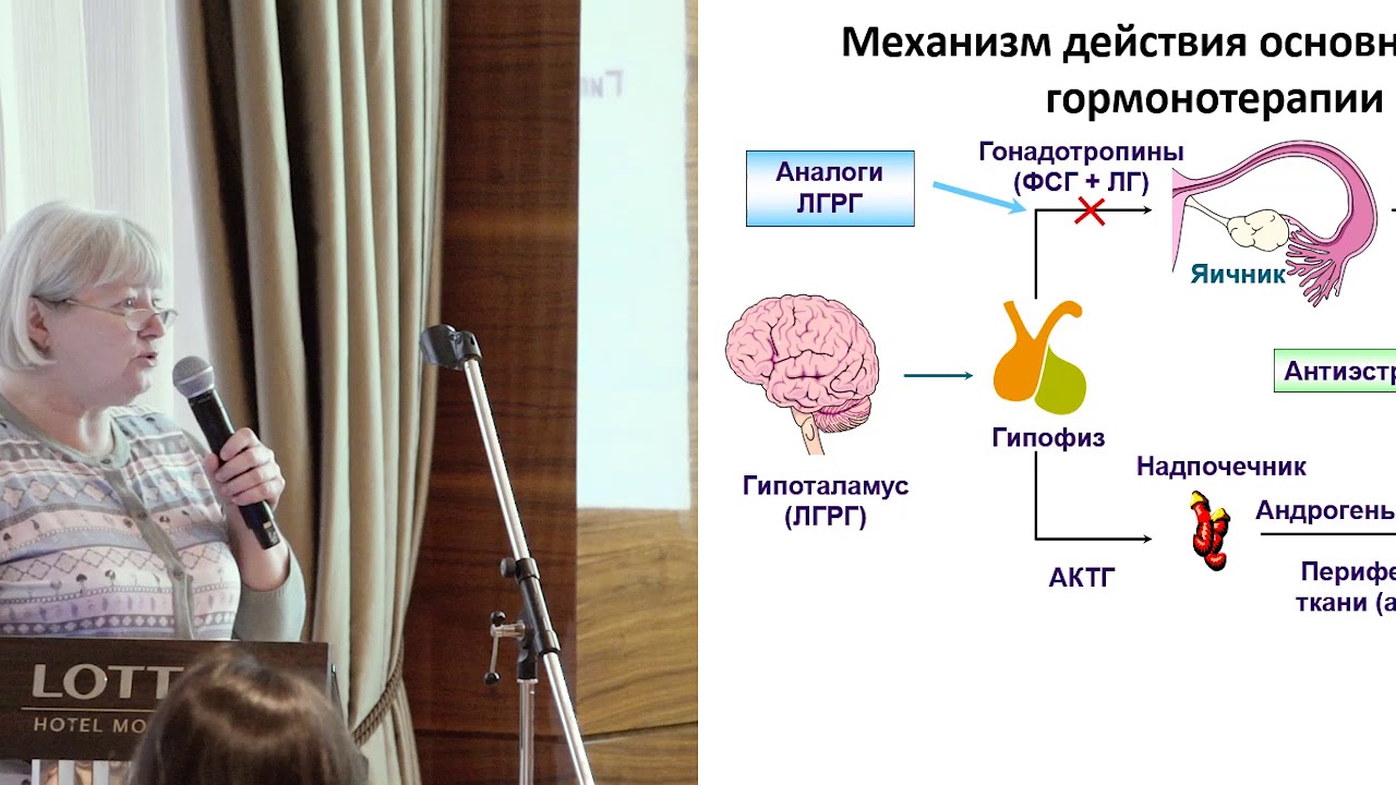 Механизмы действия и спектр побочных явлений основных групп эндокринных препаратов