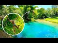 HIGHEST Rope Swing In Jamaica.. *I JUMPED*