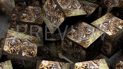 Random intro 2 - Created using Flixpress.com