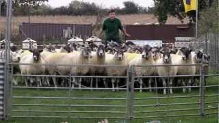 Farmers Apprentice 2012: Series trailer