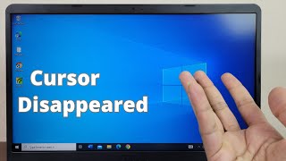 Fixed! - Mouse Cursor Disappears in Windows 10