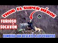 SOCAVÓN DE PUEBLA: ÉL ES THOR, EL SUPERBOMBERO QUE RESCAT0 A PERRITOS DEL SOCAVÓN, POLİCÍA ESTATAL