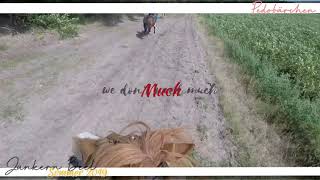 Junkern Beel Sommer 2019 4nrw | Pedobärchen