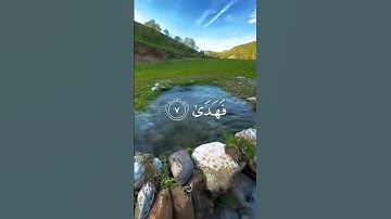 (أَلَمْ يَجِدْكَ يَتِيمًا فَآوَىٰ )  القارئ محمد صديق المنشاوي رحمه الله