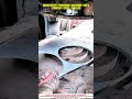 Innovative Punching Machine Cuts Perfect Steel Circles