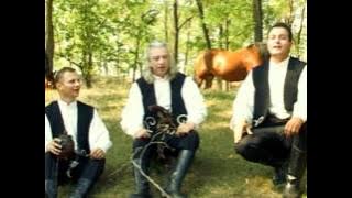 NEMURITORII - DACA MA SUPAR ODATA (SPIROS GALATI)