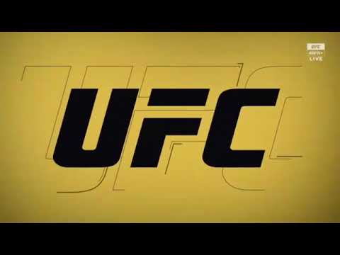 Deiveson Figueiredo vs Brandon Moreno fight footage