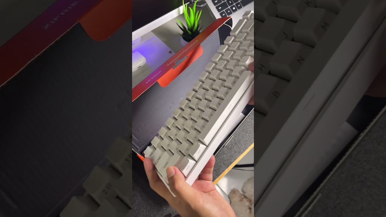 Zifriend Mechanical Keyboard | ASMR #keyboardasmr #shorts #keyboard #zifriend
