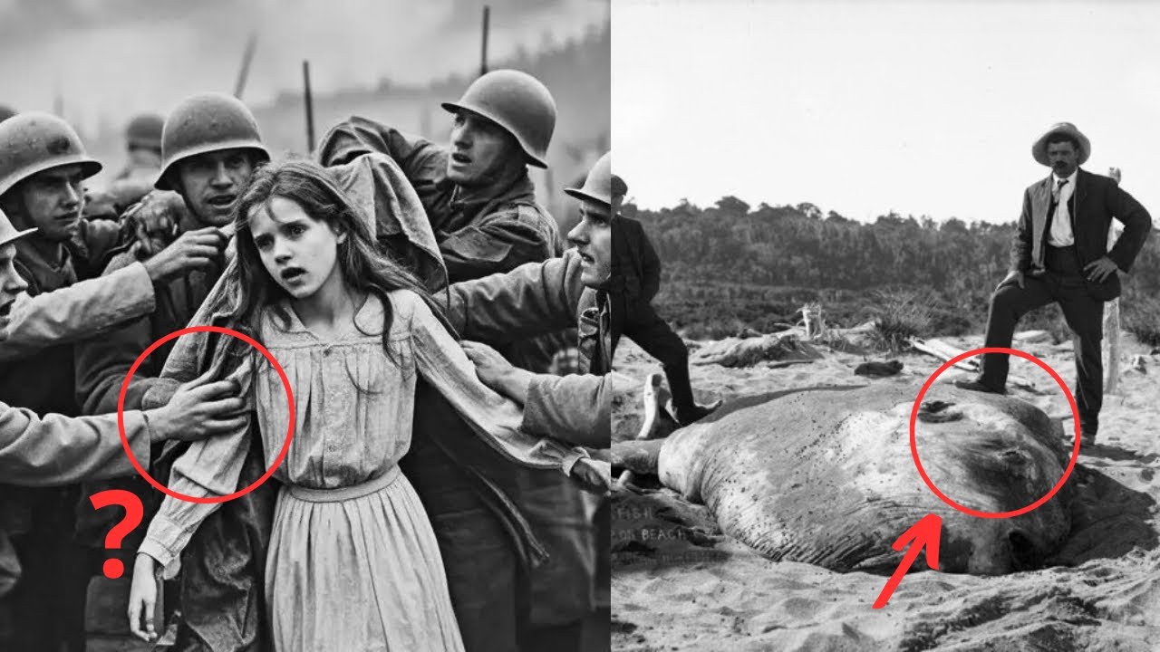 These ARCHIVAL Historical PHOTOS Will Greatly Surprise You!