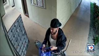 Mail theft suspect caught on camera at west Miami-Dade complex