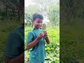 #funny #khira khaega#hindiganabhojpuriganakaiselikhe pk Azad comedy