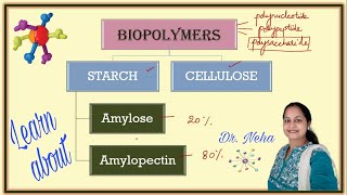 BIO-POLYMERS: Starch and Cellulose