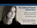The Adrenal Thyroid Connection   What's Your Body Trying to Tell You?