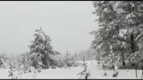 قرآن كريم سورة هود