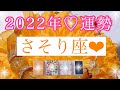 🌹2022年の運勢🌹さそり座さん✨年間リーディング💖これほどすごい次元にいけるとは!!身軽になったあなたは誰よりも強いです!!💖【見たときがタイミング🥰】💖オラクルカードリーディング💌