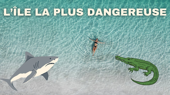 L'île la plus dangereuse du monde ! | K'gari - Fraser Island