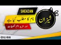 Shehzan name meaning in urdu  islamic baby boy name  alibhai