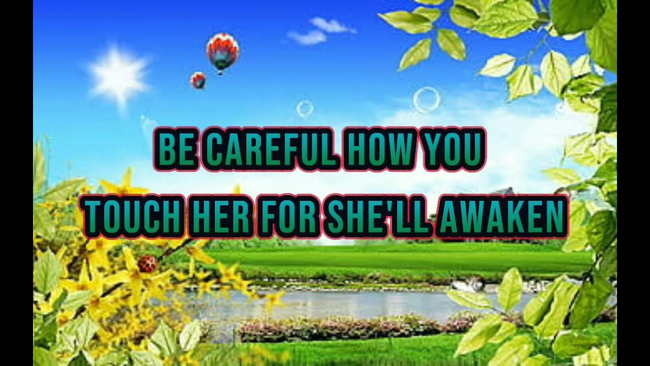 Skylark Wildflower (Lyrics Video) YouTube
