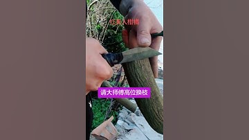 # Cảm ơn bạn chính thức # công nghệ nâng cấp # phương pháp quản lý # hướng dẫn nâng cấp