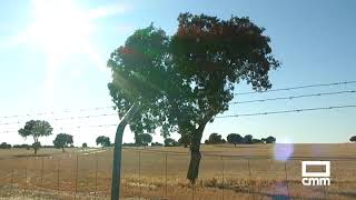 Pozo de Guadalajara contará con un circuito de Fórmula 1