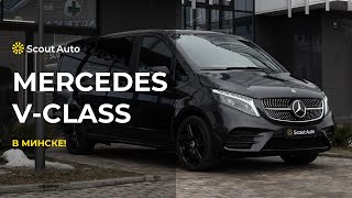 Mercedes-Benz V300d 4MATIC Long 2024 от Scout Auto в Беларуси